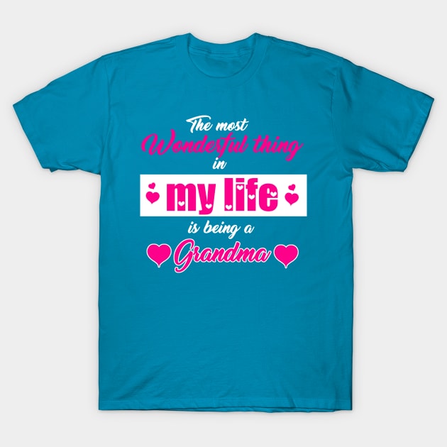 Being Grandma Most Wonderful Thing In My Life T-Shirt by Antzyzzz